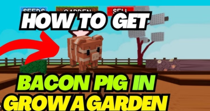 grow a garden bacon pig